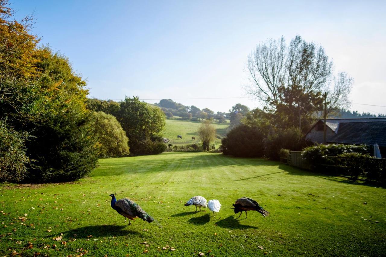 The Garlic Farm Villa Sandown Exterior foto