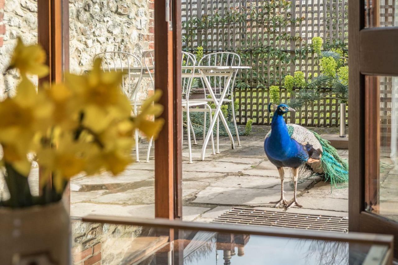 The Garlic Farm Villa Sandown Exterior foto